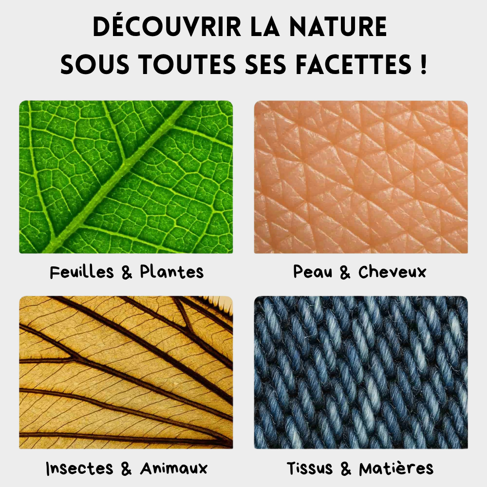 Nanno-Quest® | L'aventure au cœur de l'invisible