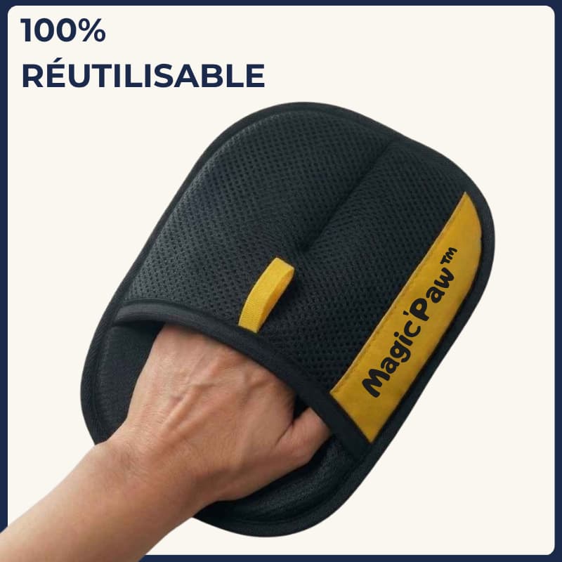 Magic'Paw™ | Vos surfaces sans un poil en 30 secondes